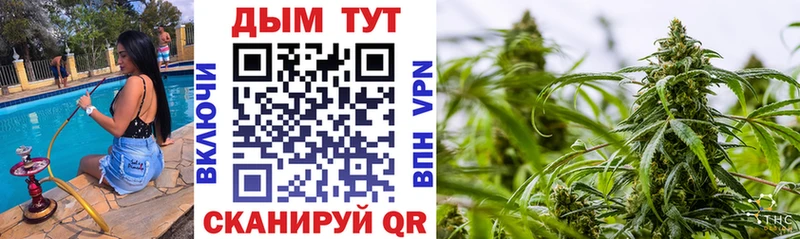 Наркошоп купить Кокаин  Alpha-PVP  ГАШИШ  Конопля  Кодеин  Меф мяу мяу  Шилка