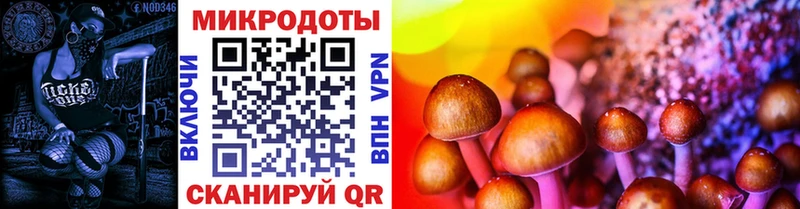 Галлюциногенные грибы прущие грибы  Купить где  Шилка 