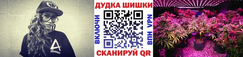 Марихуана план  Купить закладки  Шилка 